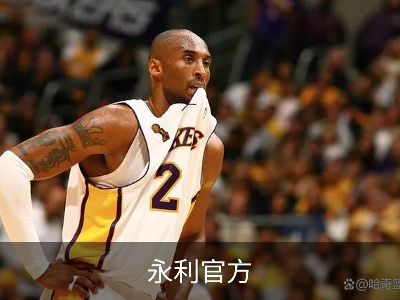 永利· (中国)唯一官方网站